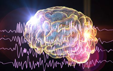 Estudos de Tratamento para Epilepsia com Células-Tronco Mesenquimais são promissoras